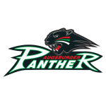 augsburger-panther