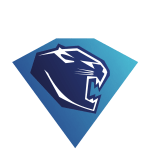 erc-ingolstadt